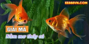 Nằm Mơ thấy cá đánh con gì? Ý nghĩa & Bí ẩn giấc mơ | EE88